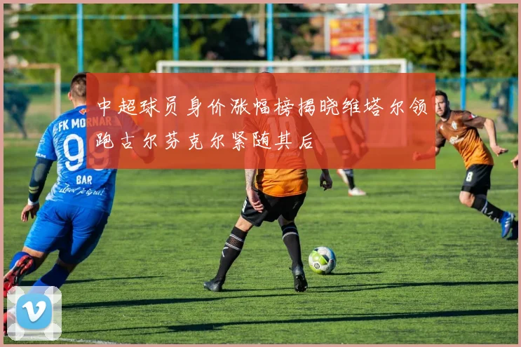 中超球员身价涨幅榜揭晓维塔尔领跑古尔芬克尔紧随其后