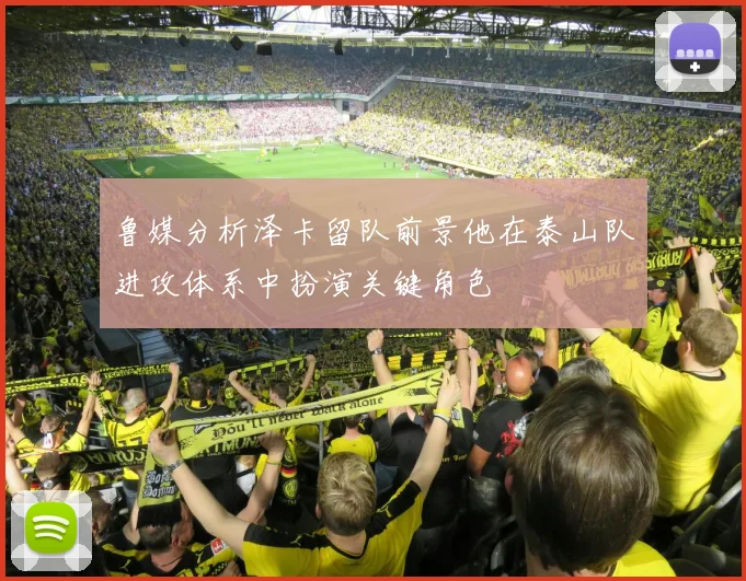 鲁媒分析泽卡留队前景他在泰山队进攻体系中扮演关键角色