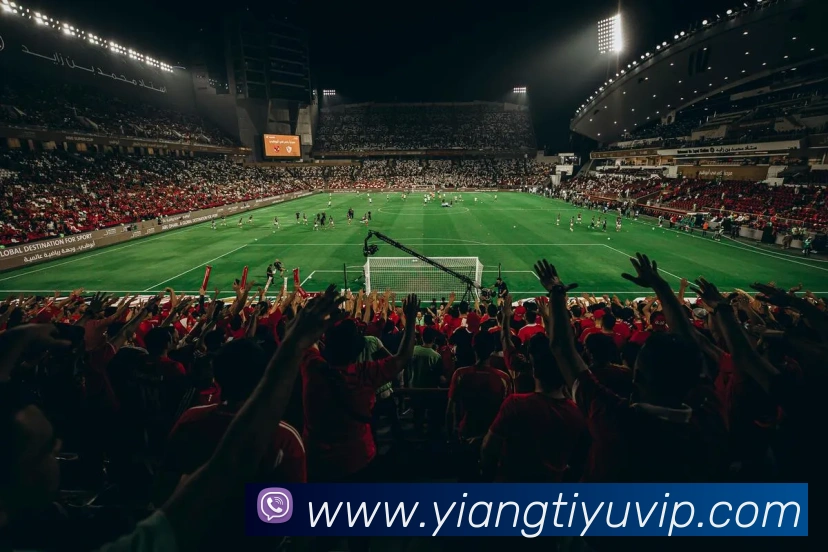 App Interface Preview