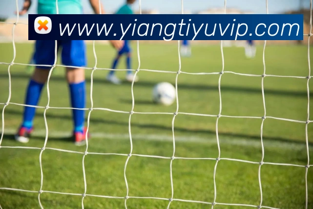 意昂体育APP 封面图